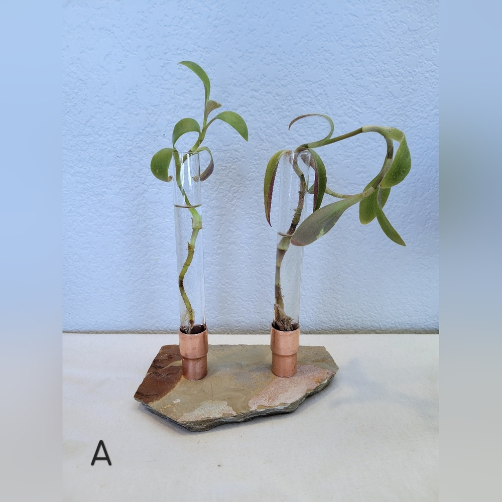 slate rock propagation station